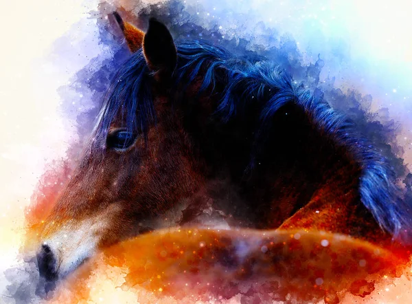 Cara de caballo y fondo de acuarela suavemente borrosa. — Foto de Stock