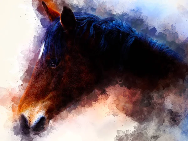 Ló arc és lágyan elmosódott akvarell háttér. — Stock Fotó