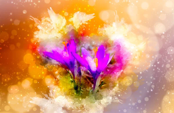 Frühlingsblumen, Safran und sanft verschwommener Aquarell-Hintergrund. — Stockfoto