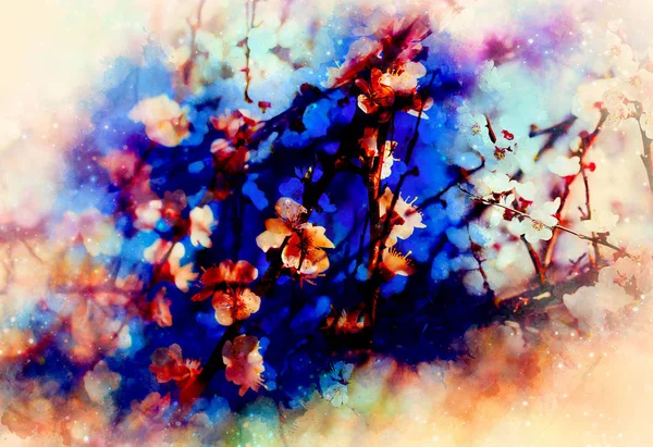 Voorjaar bloemen, lente bloesem achtergrond en zacht wazig aquarel achtergrond. — Stockfoto