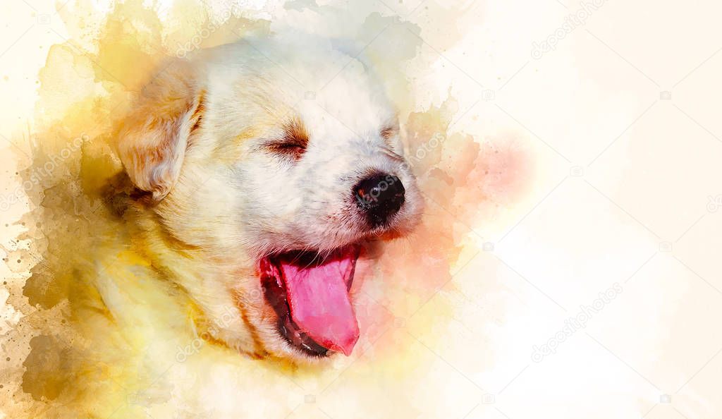 puppy dog and Softly blurred watercolor background.