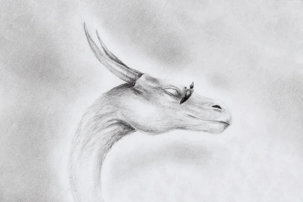 Zeichnung von Drachenkopf auf Papier mit abstraktem Hintergrund. — Stockfoto