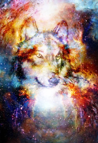 Magický prostor vlk, vícebarevná počítačová grafická koláž. — Stock fotografie