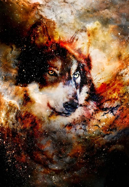 Magical space wolf, multicolor computer graphic collage. — Stock Photo, Image