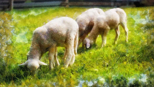 小さな子羊がタンポポと美しい緑の草原に放牧。コンピュータペインティング効果. — ストック写真
