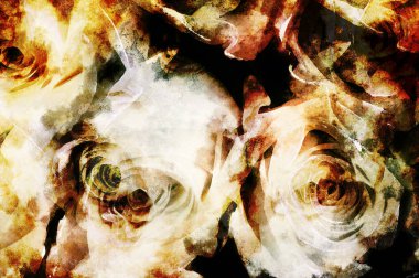 Gül deseni, çok renkli arka plan ile dekoratif arka plan.