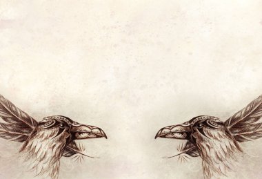 kağıt üzerinde tüyleri ile süs kuzgun çizim.