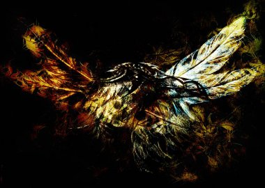 kağıt üzerinde tüyleri ile süs kuzgun çizim.