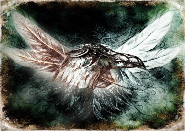 kağıt üzerinde tüyleri ile süs kuzgun çizim.