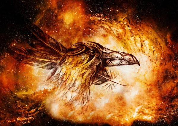 Орнаментальный рисунок ворона с перьями в космосе. — стоковое фото