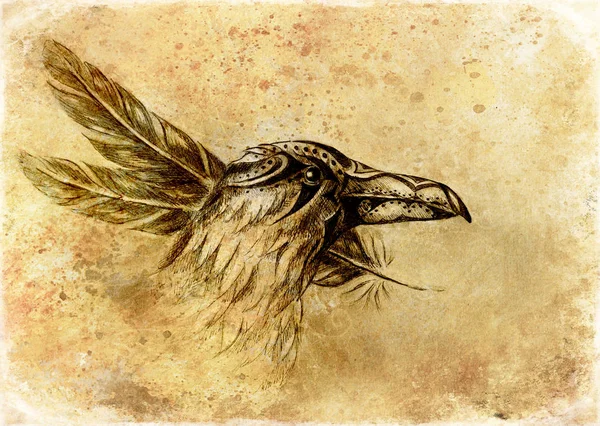 Ornamental raven drawing with feathers on paper. — Stock Photo, Image
