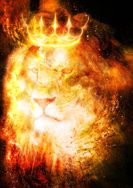 Lion king in cosmic space. Lion on cosmic background. — Stock Photo, Image