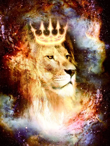 Rei leão no espaço cósmico. Leão sobre fundo cósmico. — Fotografia de Stock