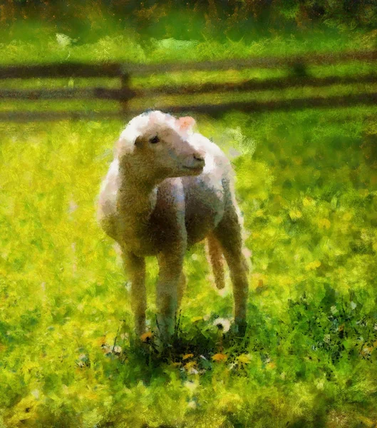 Corderito pastando en un hermoso prado verde con diente de león. Efecto de pintura informática . —  Fotos de Stock