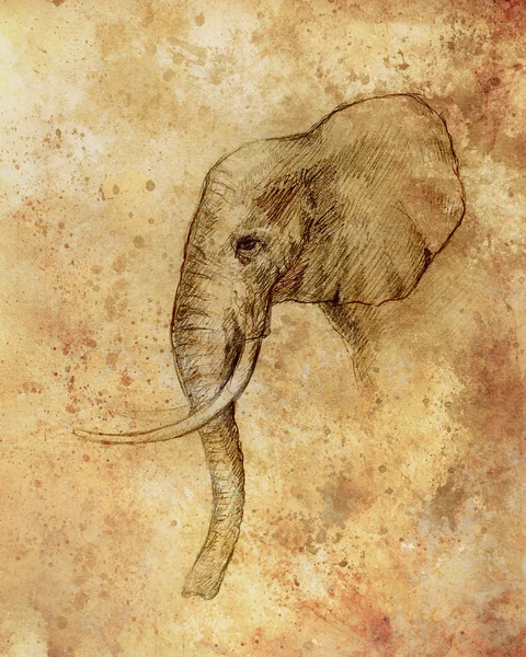 drawing of an elephant, profile drawing with lines and shades.