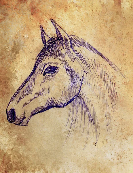 Pferdezeichnung auf altem Papier, originale Handzeichnung. Farbeffekt. — Stockfoto