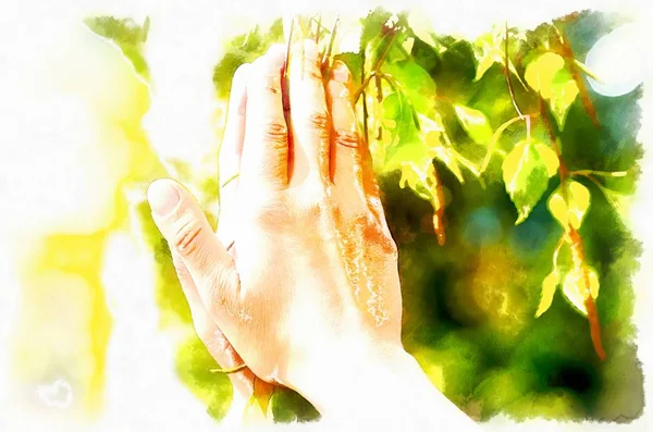 Lente gebed, bewonderende van de helende krachten van de lente, boom in handen. Computer verven, effect. — Stockfoto