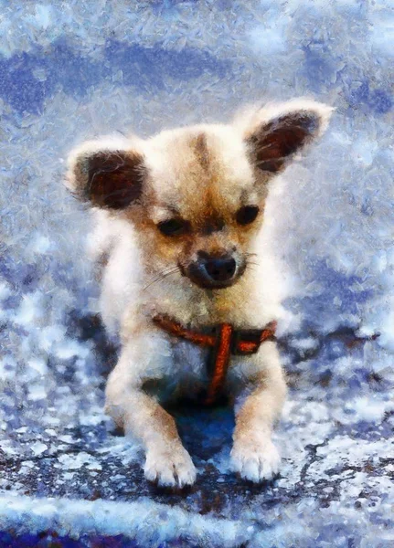Trochę urocze urocze Chihuahua Puppy. i efekt malowania komputerowego. — Zdjęcie stockowe