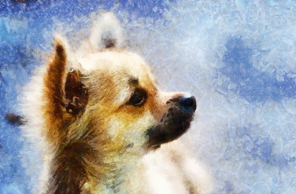 Pequeño encantador adorable cachorro de chihuahua. y efecto de pintura por ordenador . —  Fotos de Stock