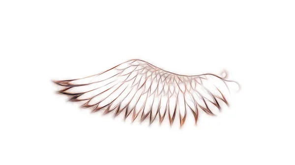 白い背景の鳥の羽。元の図面とコンピュータ効果. — ストック写真