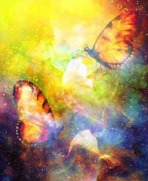 우주 공간에서 칼라 꽃을 들고 날고 있는 나비. 그림그리기 와 그래픽 디자인. — 스톡 사진
