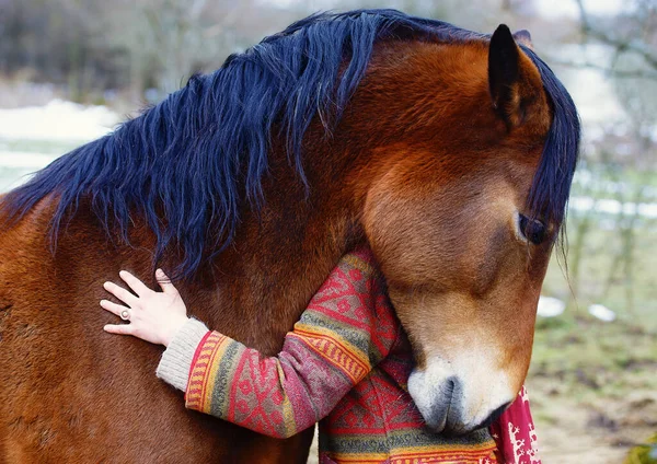 Портрет женщины и лошади на открытом воздухе. Женщина обнимает лошадь . — стоковое фото
