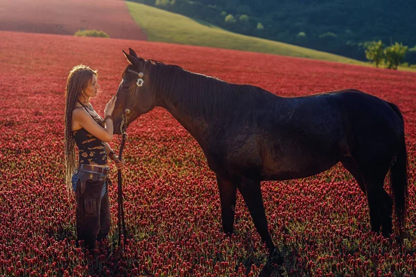 Портрет жінки і коня на відкритому повітрі. Жінка погладжує коня . — стокове фото