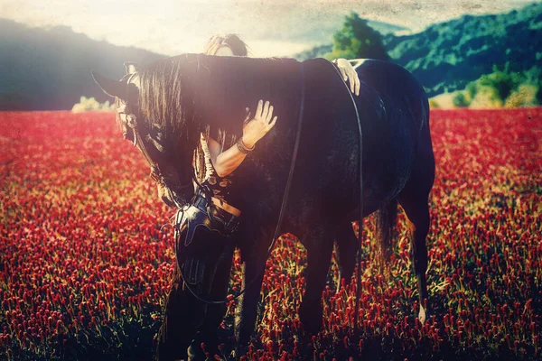 Mulher de retrato e cavalo ao ar livre. Mulher abraçando um cavalo. — Fotografia de Stock