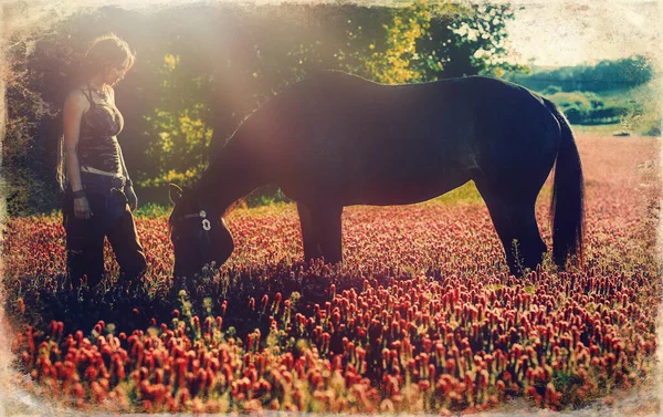 Jovem menina temida bonita ao ar livre com seu cavalo. Efeito de foto antiga . — Fotografia de Stock