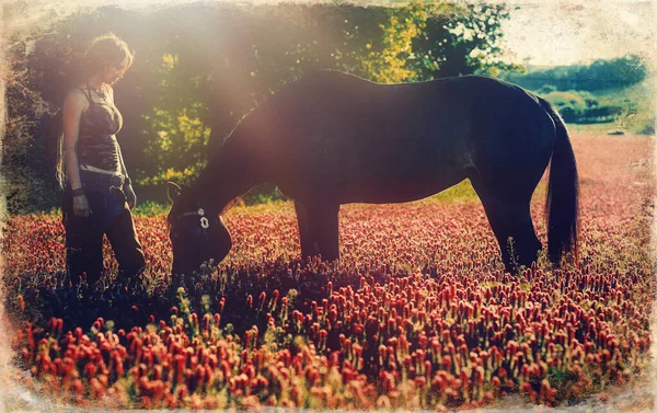 Retrato de camisa xadrez de menina com cavalo preto na fazenda de cavalos.