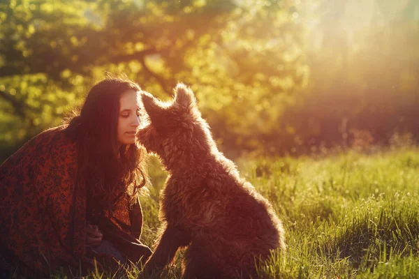 Woman and dog on the meadow at sunset. — Stock Photo, Image