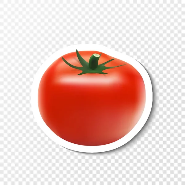 Ícone de tomate realista. Tomano sobre papel com sombra. Símbolo plano. Símbolo vetorial eps10 —  Vetores de Stock