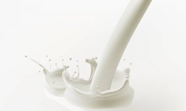 Beyaz süt arka plan üzerinde izole sıçramaları ile soyut gerçekçi süt damla. Vektör illüstrasyon eps10