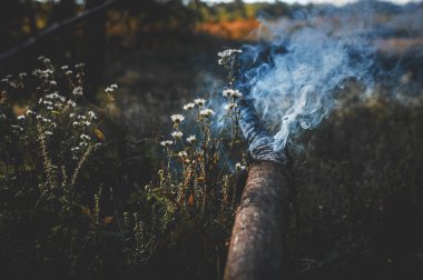 Yaz günü. Yanan ağaçtan yükselen güzel mavi duman