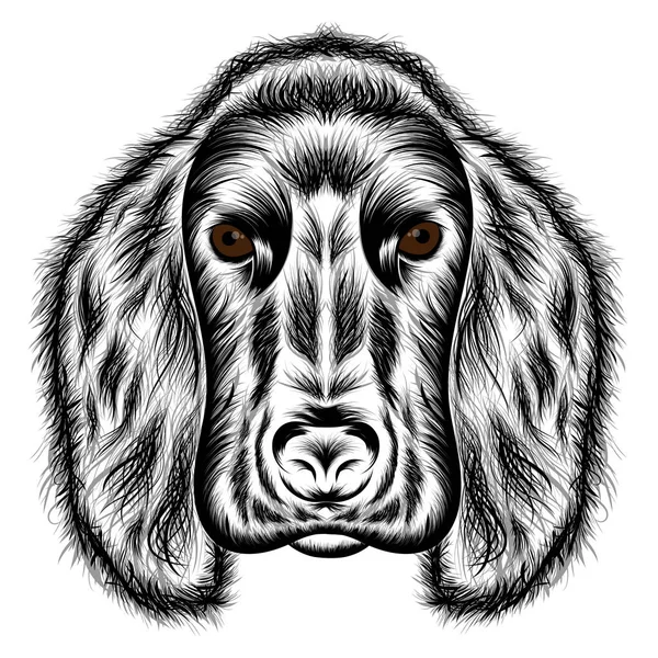 コッカー スパニエル 犬の頭のベクトル シルエット — ストックベクタ