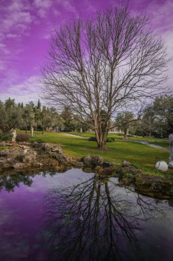 Gölü olan güzel bir manzara ve Kırım 'da sudaki yansımalar.