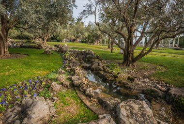 Kırım 'da ağaçları olan güzel bir manzara.