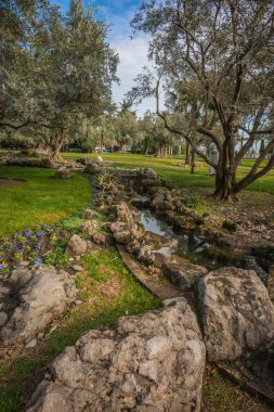 Kırım 'da ağaçları olan güzel bir manzara.
