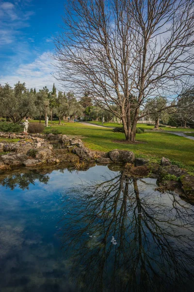 Gölü olan güzel bir manzara ve Kırım 'da sudaki yansımalar.
