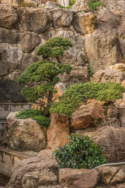 Kırım 'da ağaçları olan güzel bir manzara.