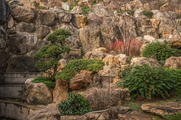 Kırım 'da ağaçları olan güzel bir manzara.