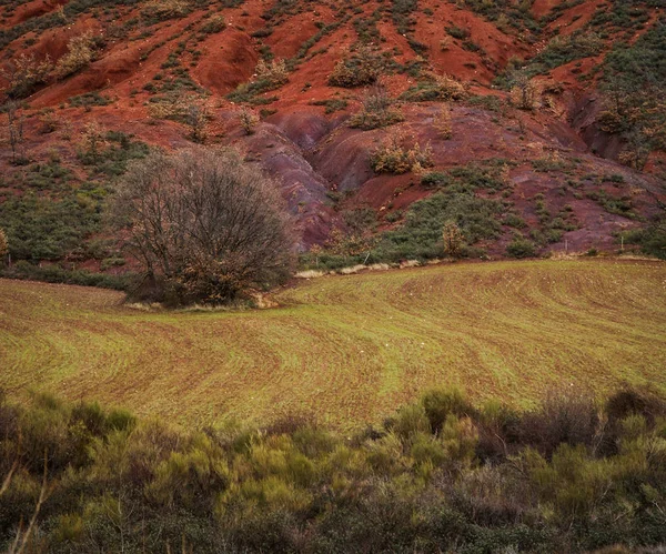 Paisaje Urbano Otoñal Una Las Ciudades Rojas España Villacorta — Foto de Stock