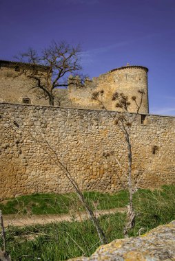 Görüntü Ortaçağ Kalesi Almenar, Soria, Castilla y Leon, İspanya