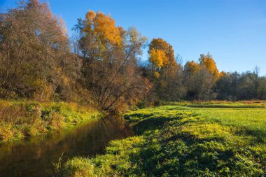 Altın Sonbahar suretinde Moscow region, Rusya Federasyonu