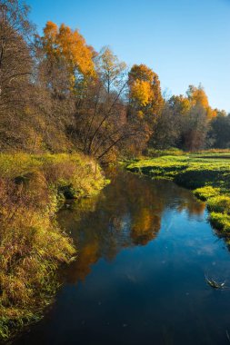 Altın Sonbahar suretinde Moscow region, Rusya Federasyonu