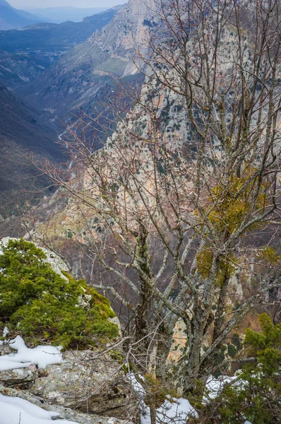 Beau Paysage Hivernal Dans Les Montagnes Zagorohoria Grèce — Photo