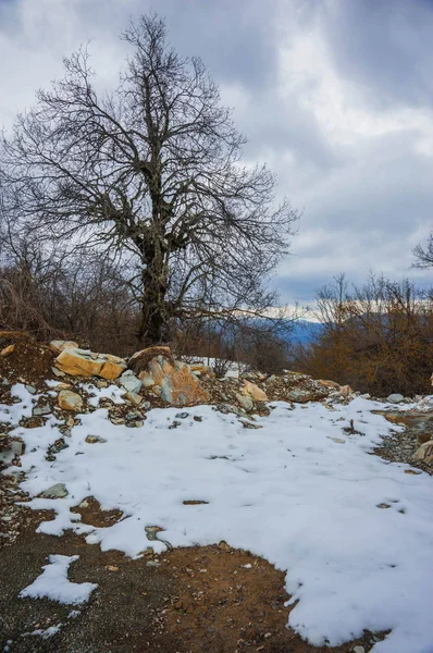 Beau Paysage Hivernal Dans Les Montagnes Zagorohoria Grèce — Photo