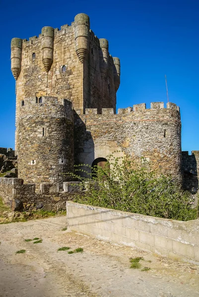 Bilden Ruinerna Gamla Slott Monleon Castilla Leon Spanien — Stockfoto