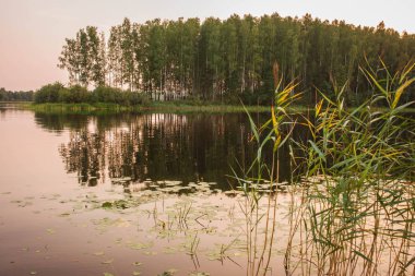 Rusya mavi göl, yansımaları ile pitoresk manzara
