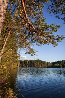 Gün batımında gölde Karelya Rusya ile güzel manzara